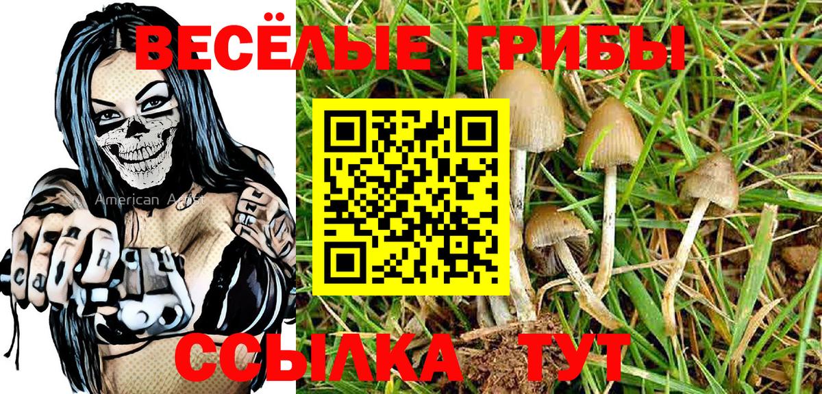 Псилоцибиновые грибы Magic Shrooms Магнитогорск