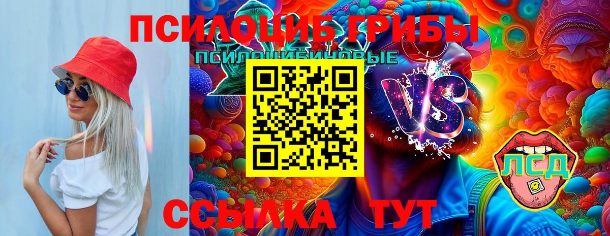Магнитогорск  Галлюциногенные грибы Psilocybe  Вход с VPN 